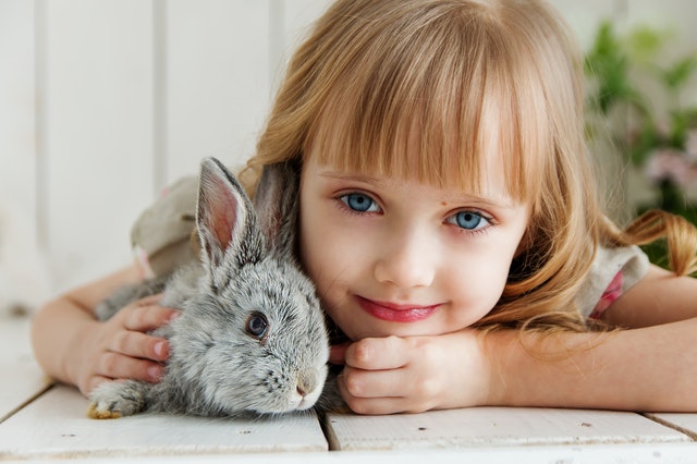 金髪の女の子と灰色のウサギ